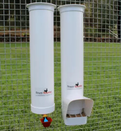 Vertical PVC pipe chicken feeders.